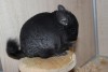 11.01.15.
